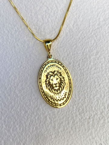 925 Gümüş | PHEAR Özel Tasarım Unisex Aslan Figürlü Madalyon Kolye