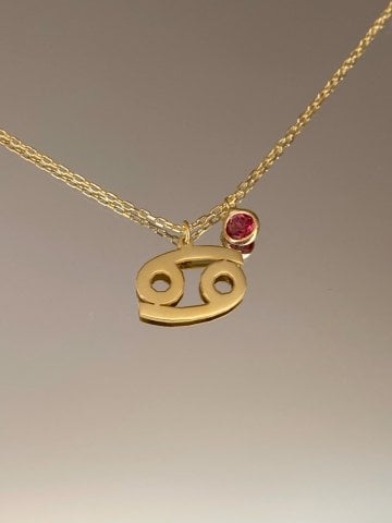 925 Gümüş | Doğum Ayı Taşlı Burç Sembolü Kolye