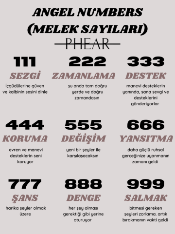 925 Gümüş | Kanatlı Angel Number Kolye