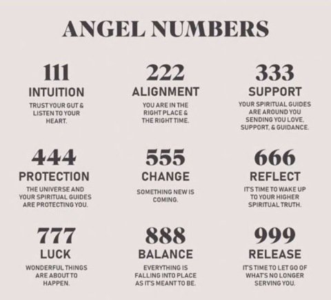 925 Gümüş | Kanatlı Angel Number Kolye